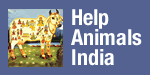 Help Animals India