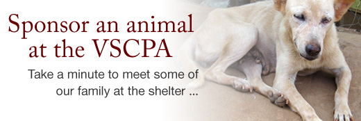Sponsor and animal at VSPCA