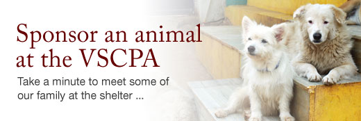Sponsor and animal at VSPCA