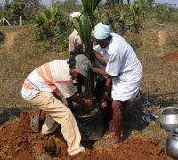 Pradeep planting tree