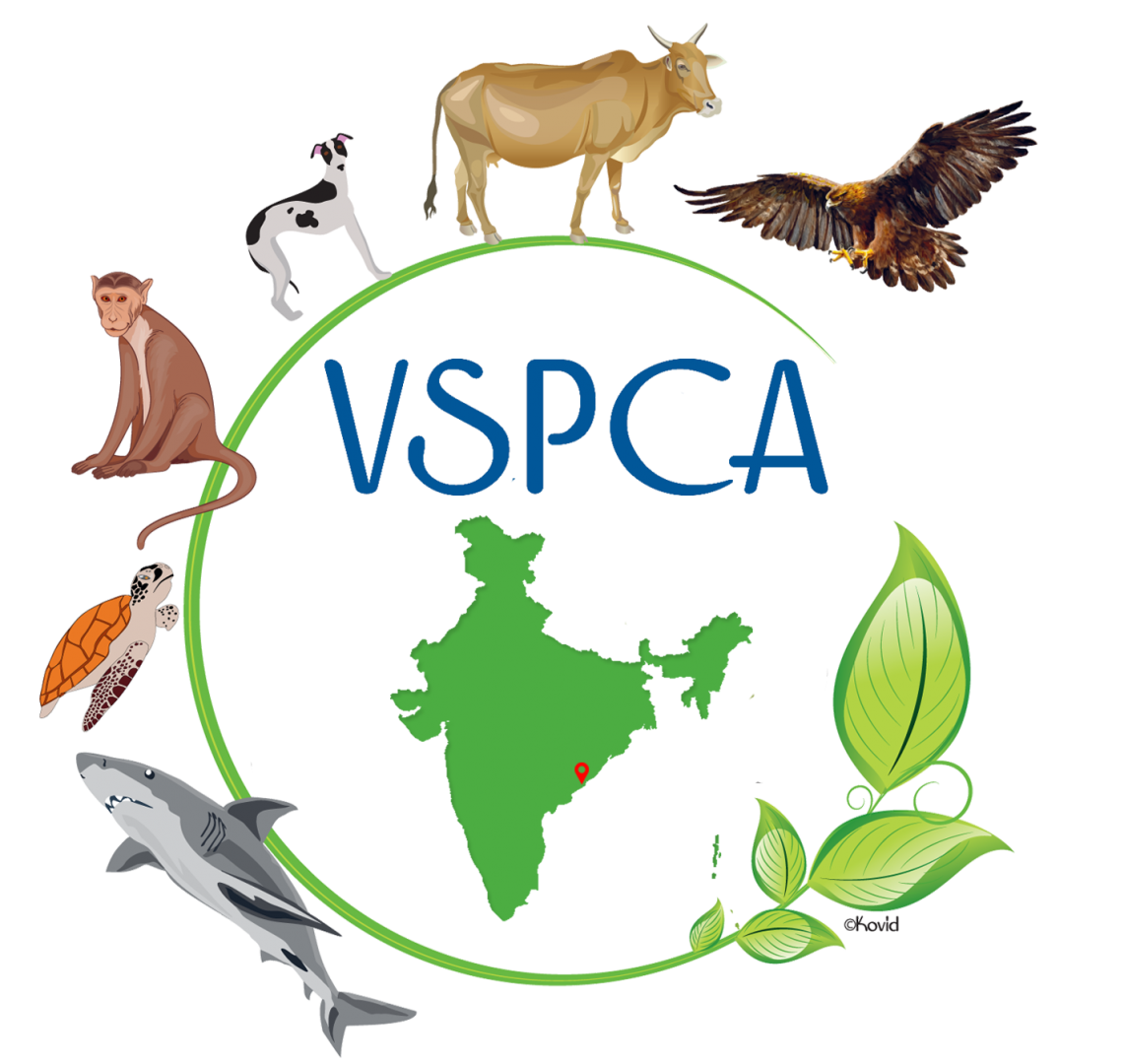 Visakha SPCA India, Inc.