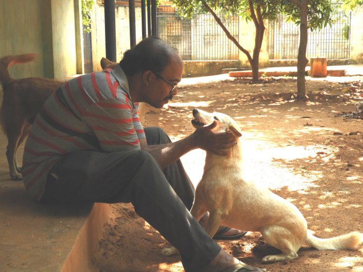 Social distancing between human and dogs an EMPHATIC not NECESSARY