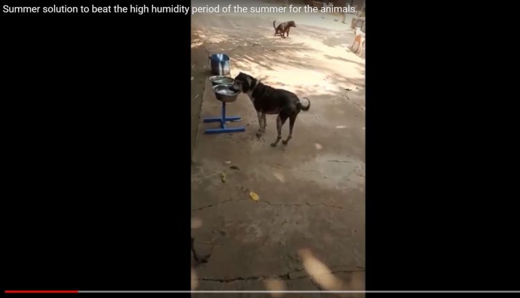 Summer solution to beat the humidity and temperatures