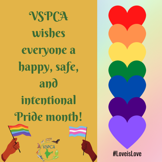 VSPCA celebrates Pride month!