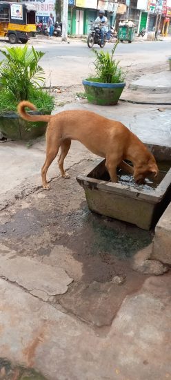 Water is key during this summer!
