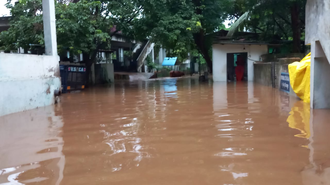 EMERGENCY APPEAL: VSCPA’S Main Shelter has Flooded. We seek your support urgently!