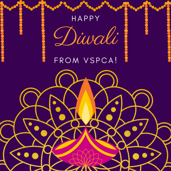 Happy Diwali to You and Your Family from VSPCA!