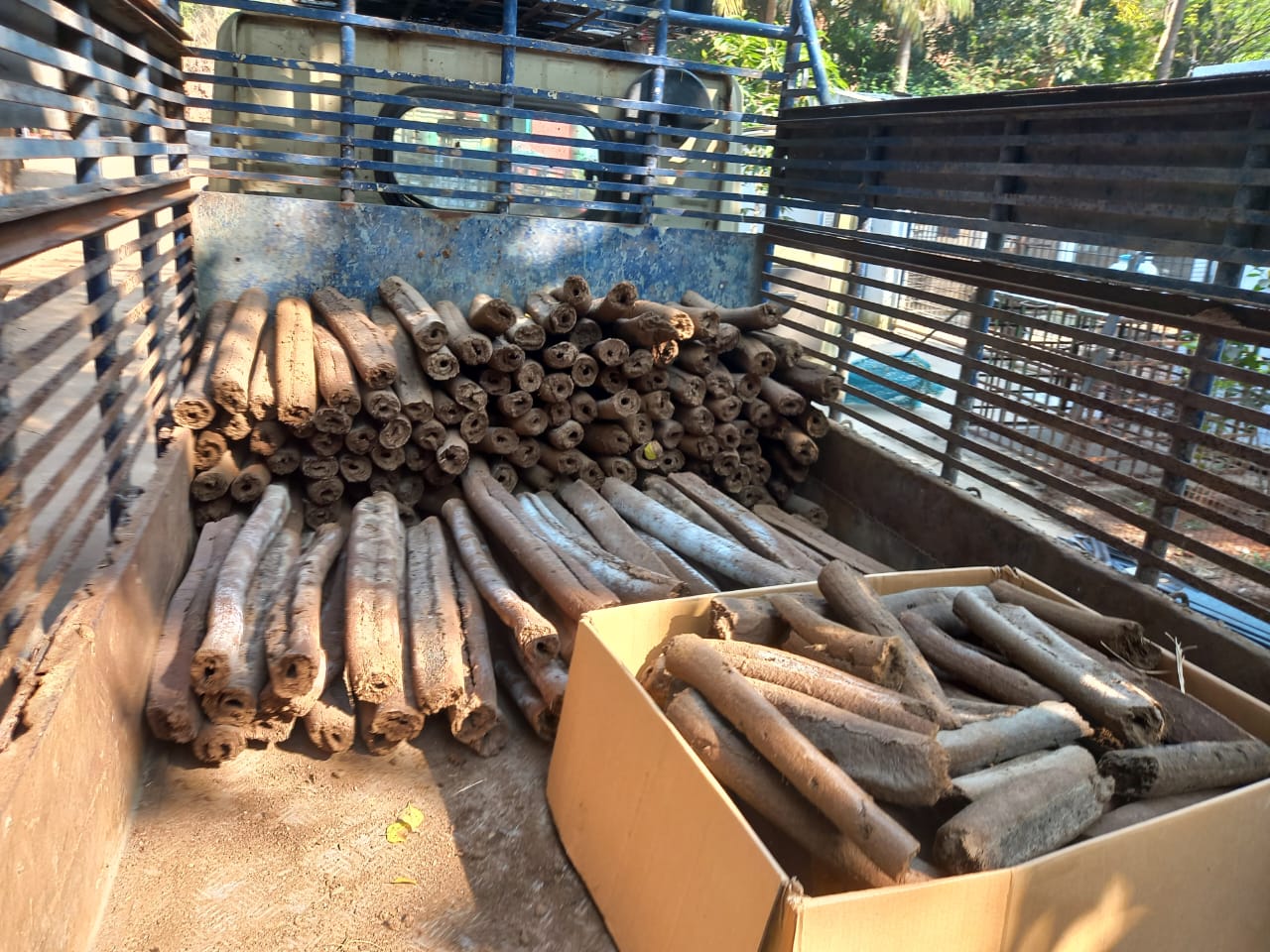 Eco-Friendly Logs at VSPCA!